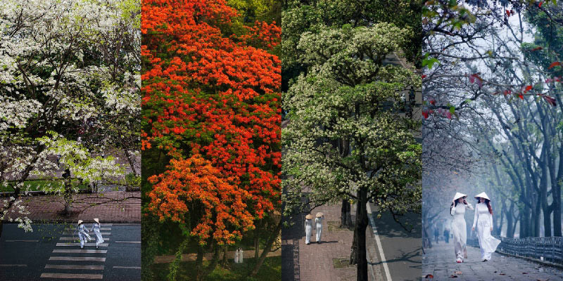 "Printemps – Été – Automne – Hiver"