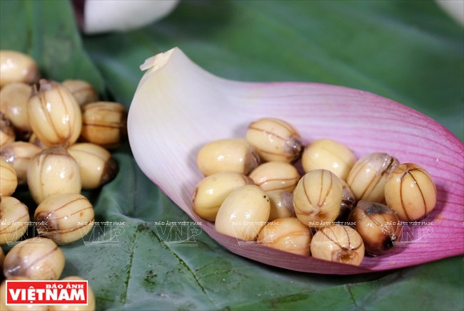 Des graines de lotus-ingrédient principal de chè sen. 