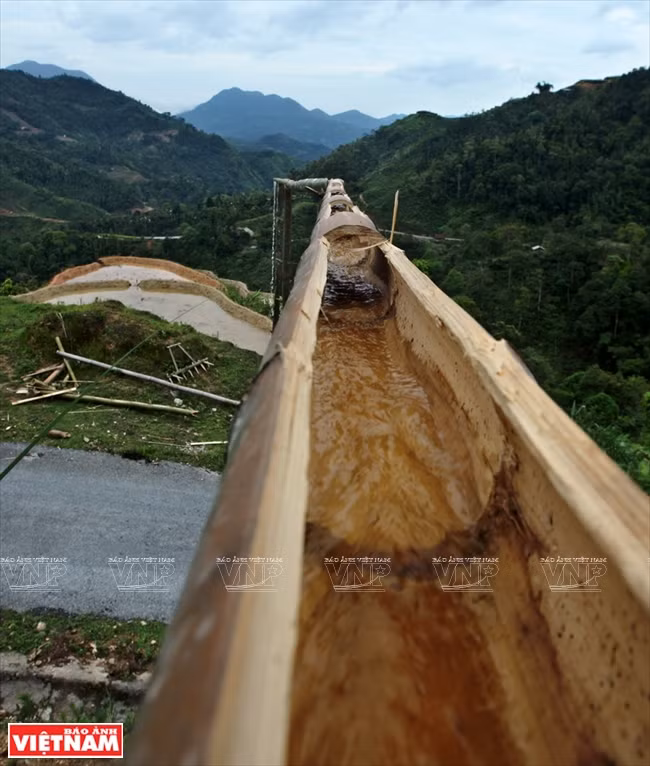 Les H’mông, Dao, Tày, Nùng, La Chi du district de Hoàng Su Phi irriguent les rizières avec des bambous. 