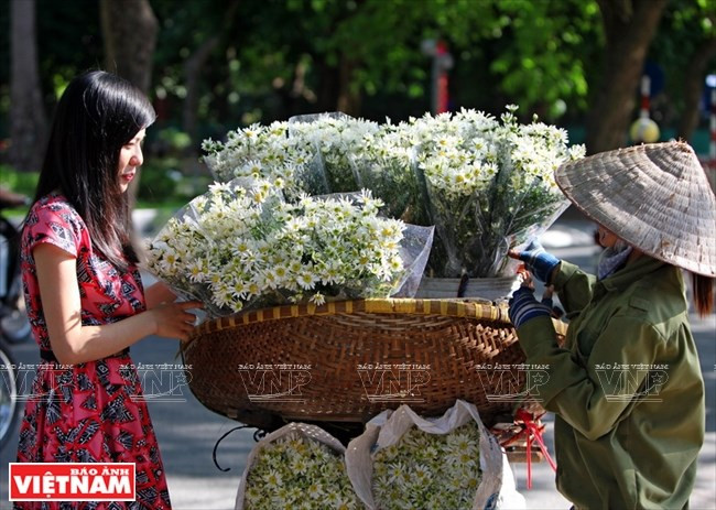 Les Hanoïens gardent cette habitude d’acheter un bouquet de chrysanthèmes pour décorer leur maison ou leur lieu de travail.