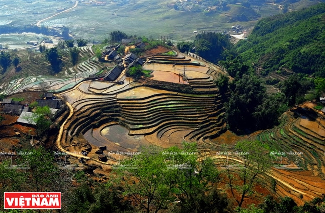La vallée de Ta Van, district de Sa Pa, fascine avec ses belles rizières en terrasses entourant des hameaux.