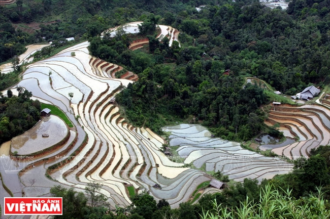 Les rizières en terrasses de la commune de Nam Ty sont les plus beaux de Hoàng Su Phi (Hà Giang).