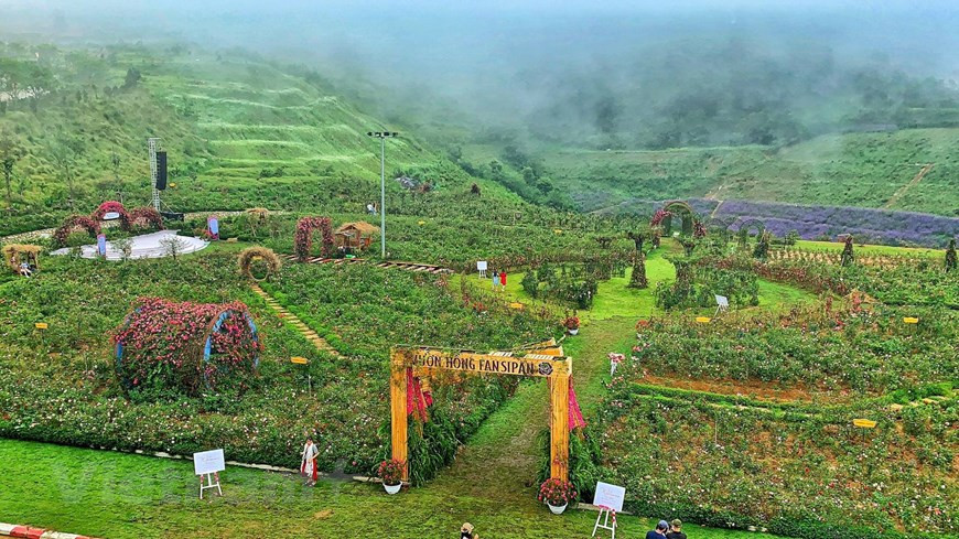 La vallée de roses située dans la zone touristique de Sun World Fansipan Legend, dans le district montagneux de Sapa, province septentrionale de Lào Cai, a récemment été reconnue comme la plus grande du Vietnam par l’organisation Guinness Vietnam Record.