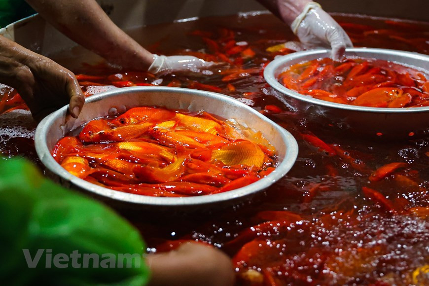 Cette année, la fête du génie du Foyer tombe mardi 25 janvier. 