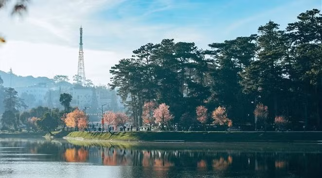 Dans la ville de Da Lat, il existe encore de nombreuses villas à l'architecture française. Le lac Xuan Huong - le cœur de la ville - est un paysage célèbre, attirant des touristes nationaux et internationaux par sa beauté douce et romantique.