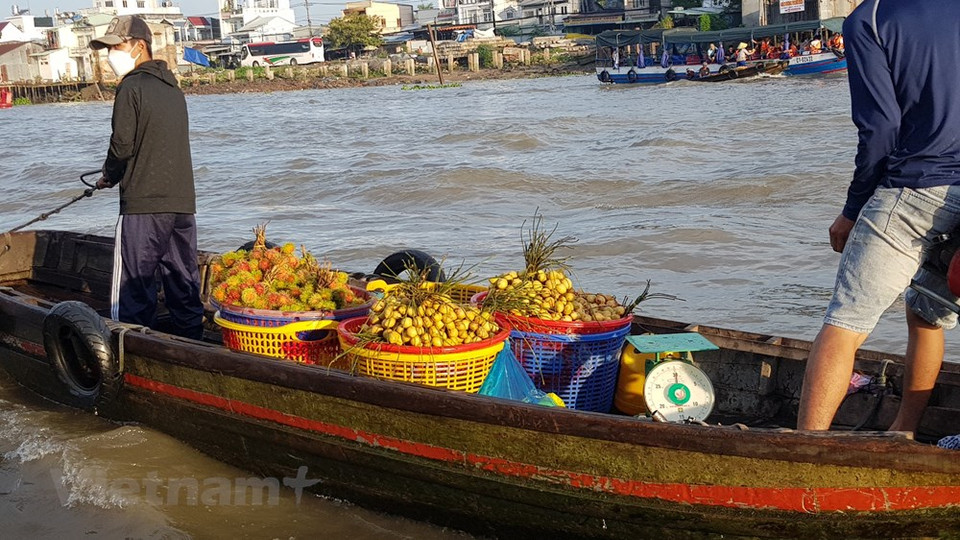 Si vous venez dans la ville de Cân Tho, la plus grande ville du delta du Mékong, vous devez absolument découvrir ses marchés flottants dont le plus célèbre est Cai Rang. Situé à six kilomètres du centre-ville de Cân Tho, ce marché original fait l'admiration de tous les touristes. Le nom de Cai Rang existe depuis de nombreuses années mais son origine est entourée de mystères. Deux histoires circulent à son propos. Une version raconte qu'un crocodile aurait été vu sur les rives du Delta et que les habitants, impressionnés par les dents de l'animal, auraient appelé l’endroit Cai Rang (dents en français). Photo: VietnamPlus