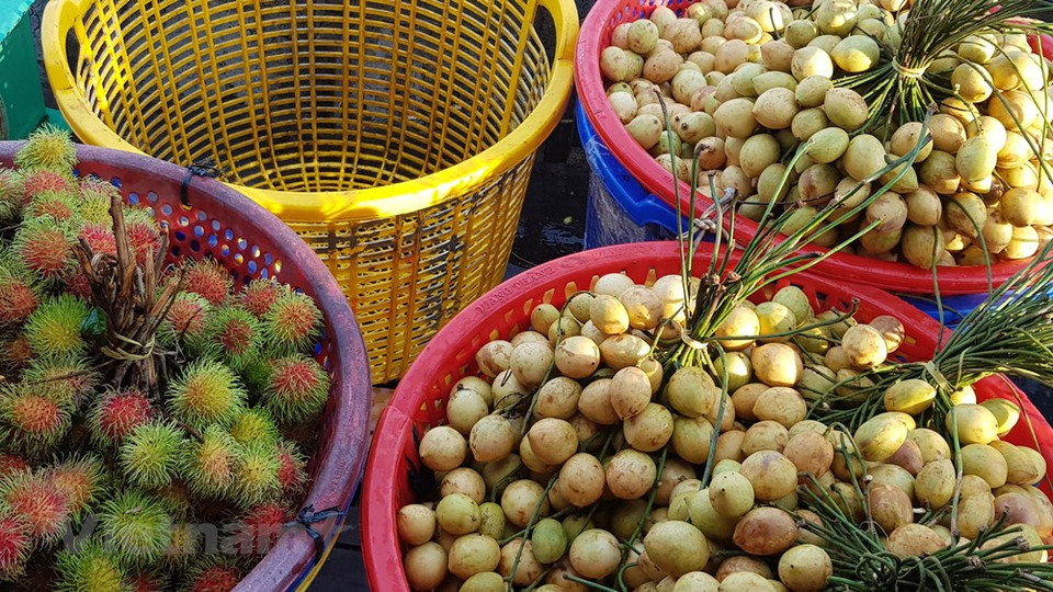 Le marché flottant de Cai Rang est un ballet incessant d'embarcations à moteurs, de petites jonques et de canots qui s'entrecroisent et se faufilent sans jamais se frôler. Nguyên Thi Ngoc Nga, une habitante reconvertie dans le tourisme, explique: "Les touristes vietnamiens viennent nombreux ici en été et lors du Têt, le Nouvel An lunaire. Les étrangers choisissent plutôt la période entre le mois d'octobre et le mois de mars. Je possède trois bateaux et je propose 6 circuits par jour. Le marché est très animé de 5h à 7h du matin. Parfois, les touristes empruntent mes bateaux pour se rendre à l'ancienne maison de Binh Thuy". Photo: VietnamPlus