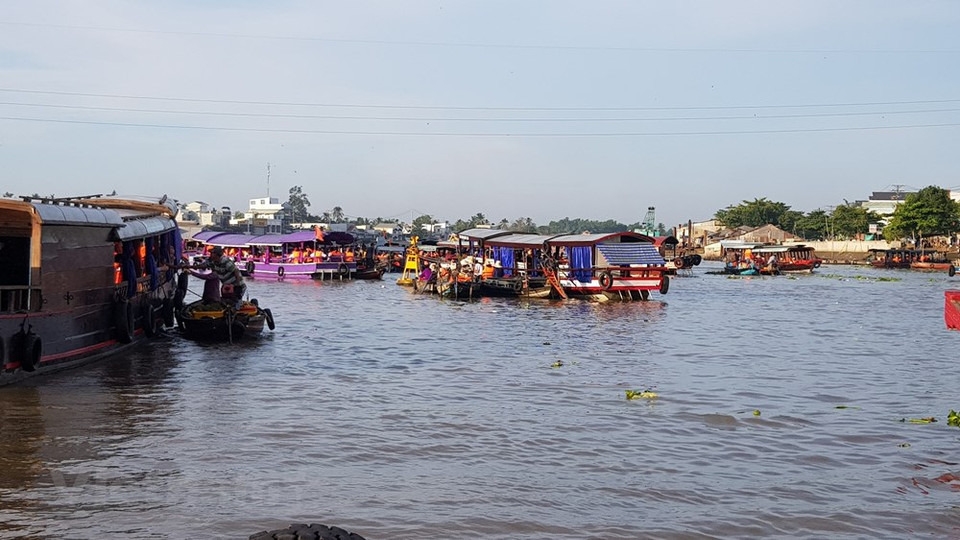 Cai Rang est l'un des trois marchés flottants les plus importants du delta du Mékong. Il est principalement un marché de fruits et de légumes mais on y trouve aussi toutes sortes de marchandises et spécialités du delta du Mékong. Les commerçants arrivent dès 5h du matin et repartent vers 9h. Chaque jour, il accueille des centaines de petites embarcations regorgeant de toutes sortes de nourritures et de divers produits. Ici, les vendeurs n'ont pas besoin de crier pour vendre leurs produits, il leur suffit de les accrocher sur une perche plantée sur la proue ou sur la poupe de leur canot. Photo: VietnamPlus