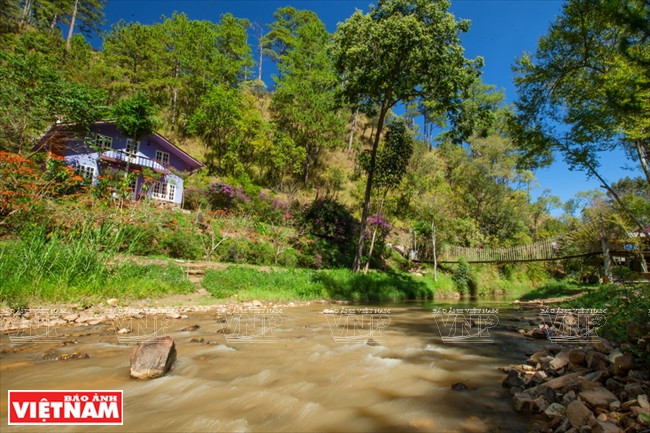 Paysages romanesques.