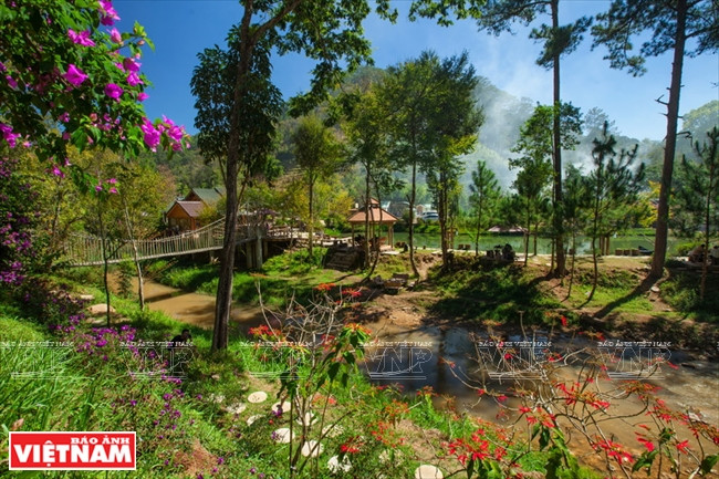 La beauté des fleurs au sein de l’auberge.