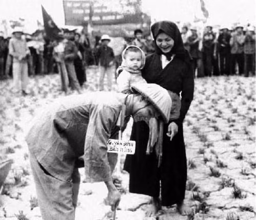  La réforme agraire s'est achevée avec succès en 1957, mettant fin définitivement aux propriétaires terriens féodaux et établissant la propriété foncière pour les agriculteurs. Photo : Archives/VNA 