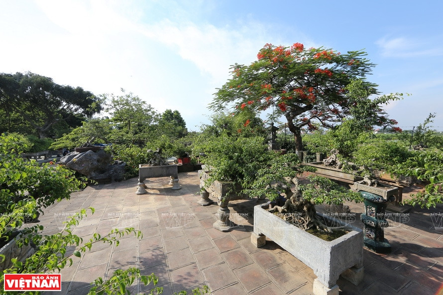  En outre, les touristes participent également à des activités d'expérience "une journée d'artisan". Ici, les visiteurs peuvent interagir et rejoindre les artisans du village pour créer, couper, façonner et nommer leurs propres produits de bonsaï. Photo: Vietnam Illustré