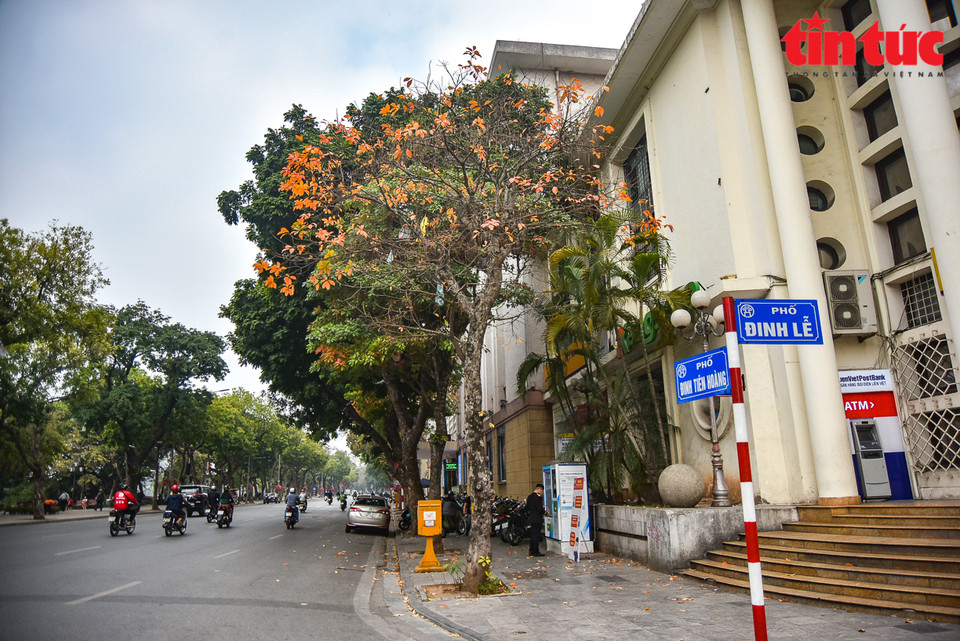  Le bureau de poste de Hanoï est multicolore lorsque les feuilles des arbres Loc vung changent de couleur. Photo : VNA