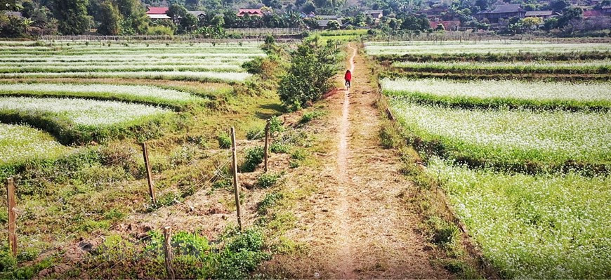 Les chemins de terre mènent au village de So Loong. Photo: Vietnamplus 