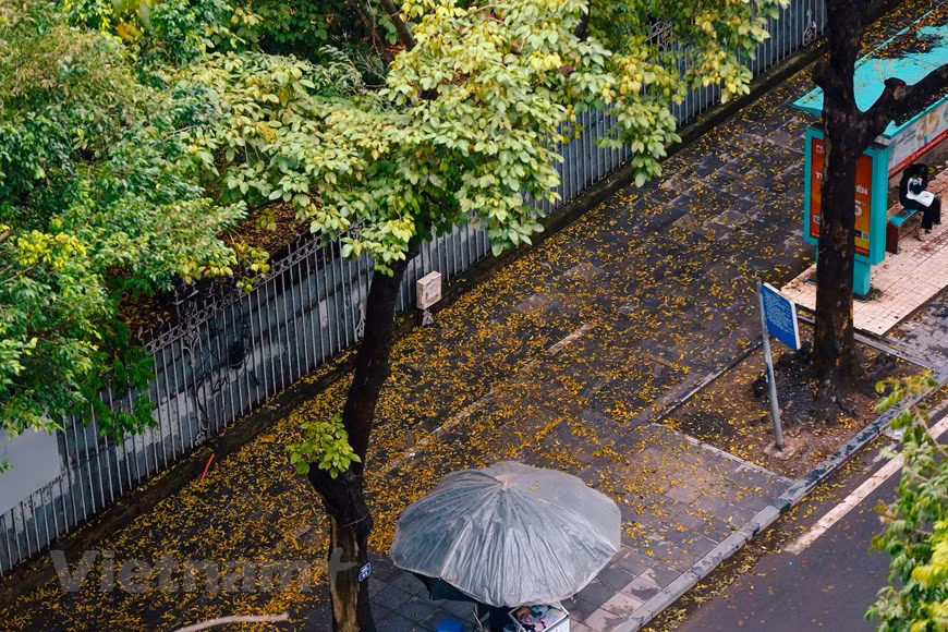 Trottoir le long de la rue Lê Thanh Tông couvert de feuilles jaunes. Photo : Vietnam+ 