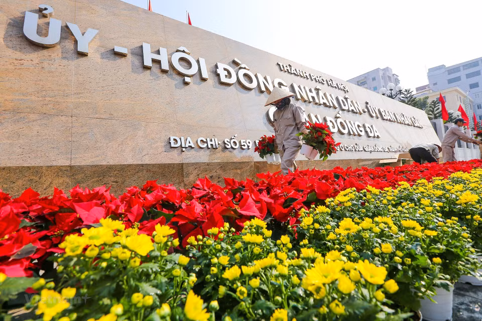  Des fleurs devant la porte du Comité du Parti, du Conseil populaire et du Comité populaire de l’arrondissement de Dong Da. Photo : Vietnamplus 