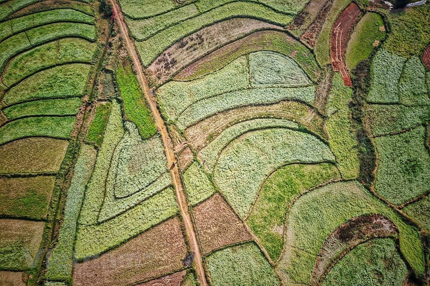  Le village de Lo Suon dans la commune de Muong Sang, district de Moc Chau, province de Son La a non seulement une vie paisible, mais aussi des paysages pittoresques vus d'en haut. Photo: Vietnamplus