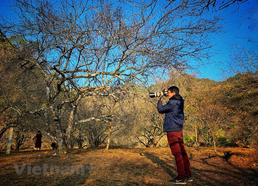  Depuis des années, les couleurs vibrantes de la région Nord-Ouest attirent toujours un grand nombre de photographes épris de nature. Photo : VNA