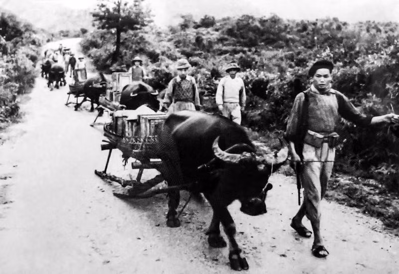 La grande contribution de la force civile a été l'une des principales raisons de la victoire de Dien Bien Phu. 