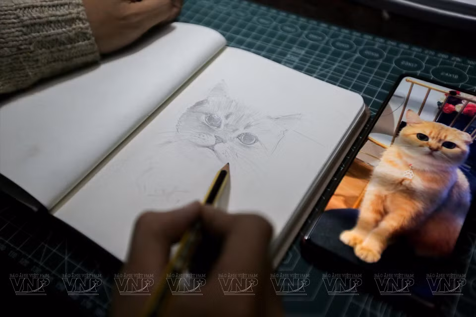 La première étape est de réaliser croquis après avoir observé l'animal.