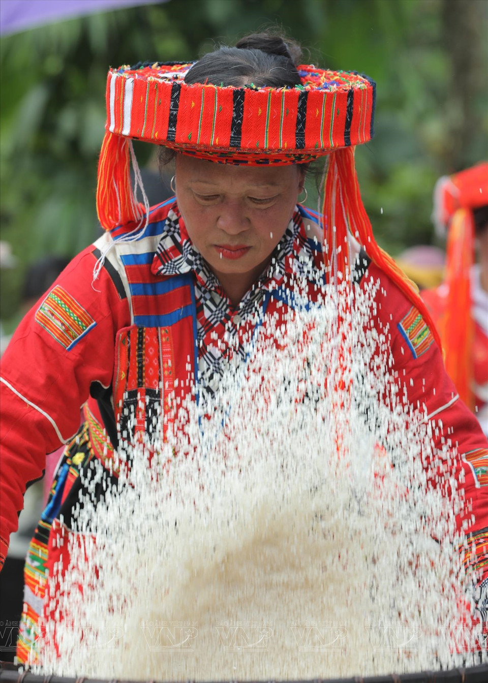 Le riz gluant sélectionné est délicieux, aux grains ronds et charnus.