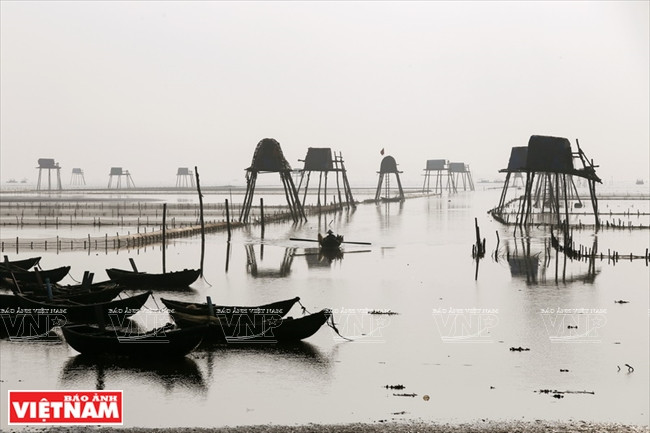 Le district de Tien Hai compte près de 3.000 ha de surfaces aquacoles, sur plus de 20 km de côtes.