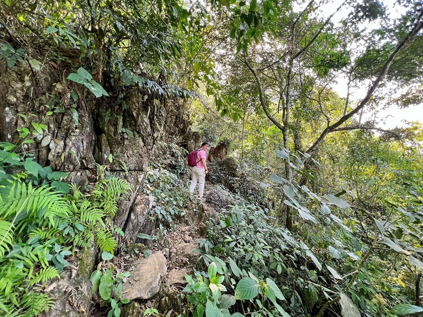 À 75 km de Hanoï, la province montagneuse de Hoa Binh est un lieu prisé des touristes. Outre la grotte de Nam Son, la province possède de nombreuses destinations touristiques attrayantes telles que la centrale hydroélectrique de Hoà Binh, le col de Da Trang et le village de Lac, etc. En outre, la province a construit neuf sites de tourisme communautaire dont Lac dans la commune de Chieng Chau, Pa Co dans celle de Pa Co, Da Bia dans celle de Tien Phong... La province abrite également trois lieux d'hébergement touristique de luxe de 3 à 4 étoiles : Ba Khan Village Resort, Maichau HideAway, Mai Chau Mountain View Resort, Serena Kim Boi Resort... Photo : Vietnamplus