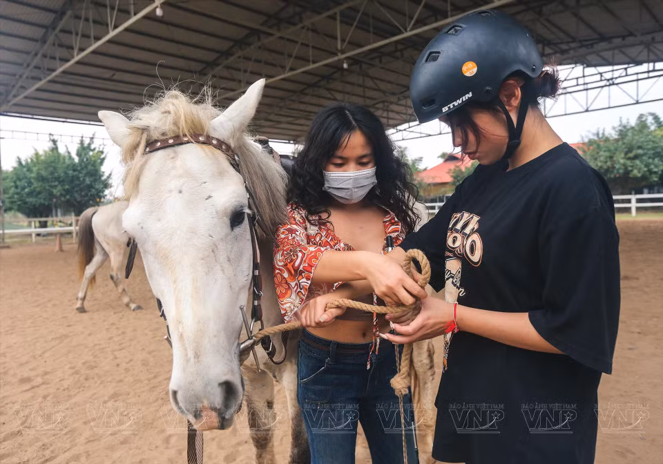 Les débutants doivent se familiariser souvent avec les chevaux Kabadin. Photo: Vietnam illustré 