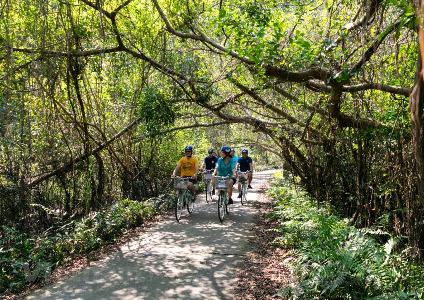 Des amateurs d’aventure traversent la forêt à vélo pour atteindre le village de Viêt Hai, situé à 18km du bourg de Cat Ba. Photo : VNA
