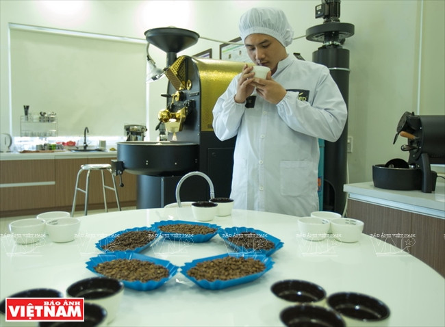 Un spécialiste vérifie la qualité du café au laboratoire.