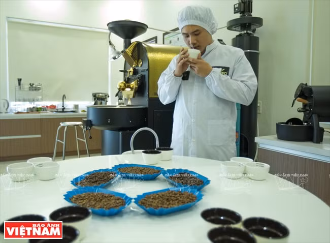 Un spécialiste vérifie la qualité du café au laboratoire.