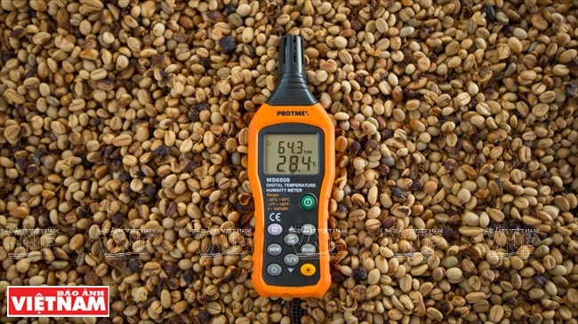 Un calculateur d’humidité veille aux bonnes conditions de séchage des grains de café.