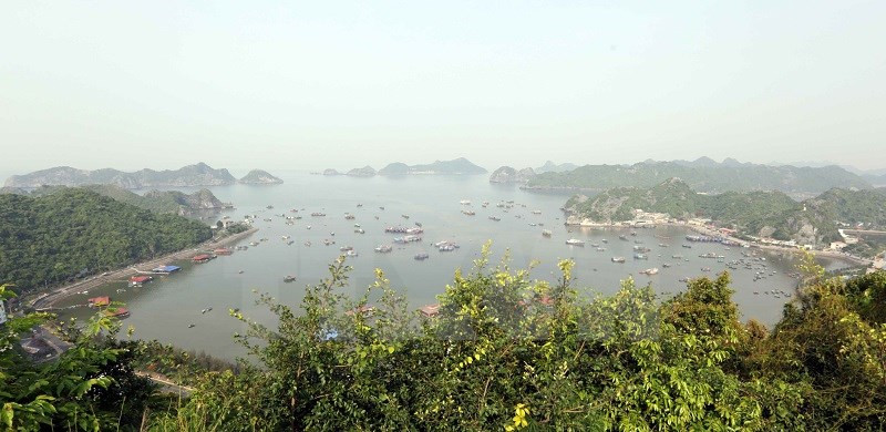 Le bourg de Cat Ba vu d'en haut.