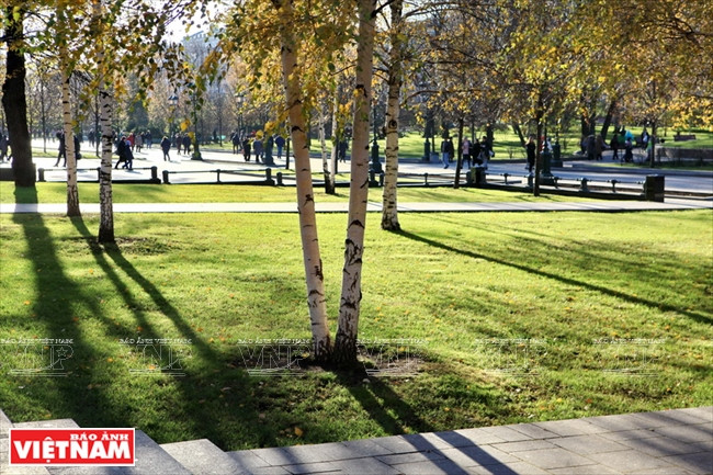 Les rayons de soleil d’automne répandent dans le jardin public Aleksandrovsky, l’un des jardins publics les plus beaux de Moscou. 