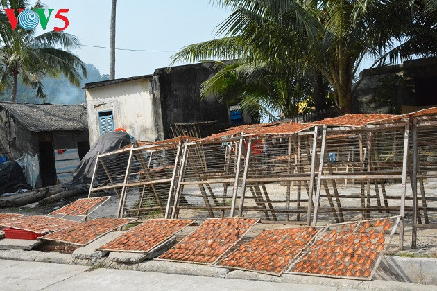 Sur l’île de Thô Chu qui est une île rattachée à la province de Kien Giang, les poissons sont séchés au soleil avant d’être vendus sur le continent.
