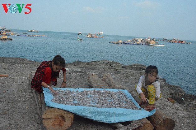 Les enfants aident leurs parents à sécher les poissons.
