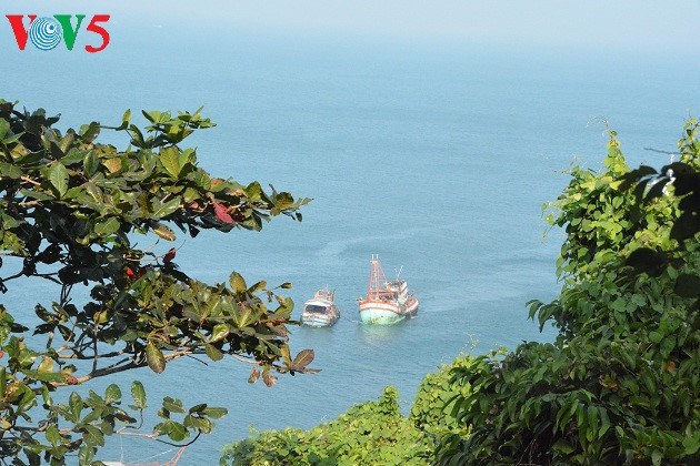 Les paysages pittoresques ​de l’îlot « Chuoi » dans la province de Ca Mau séduisent les visiteurs.