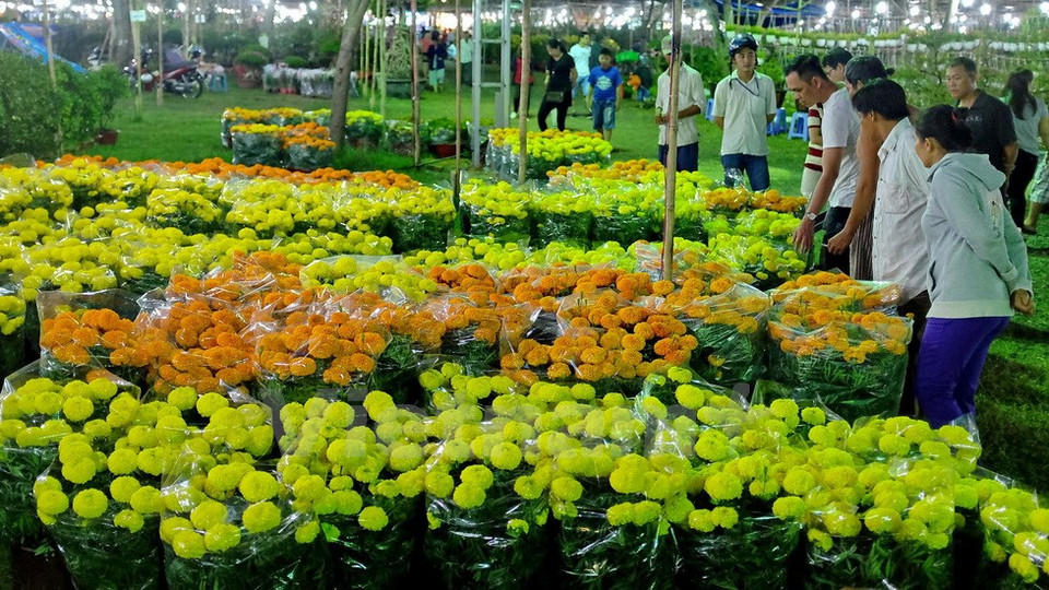 Avec la rue des fleurs, organisée chaque fin d'année lunaire à Ho Chi Minh-Ville, la foire des fleurs du printemps de Phú My Hung, dans le 7e arrondissement, demeure une destination à ne surtout pas manquer.