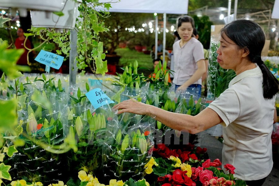 La foire 2017 comprend 500 stands de fleurs et de plantes d’agrément, outre 200 autres de gastronomie, de calligraphie, de jeux, etc. 