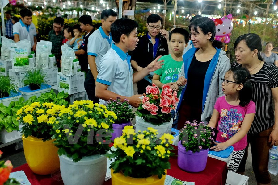 Placée sous le thème ''Printemps prospère'', cette foire recrée un village vietnamien prospère, riche et romantique. Elle est divisée en ​quatre zones principales.