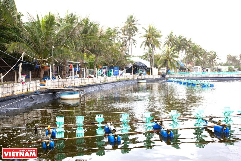 Les visiteurs peuvent déguster des crevettes fraîches des lagons locaux
