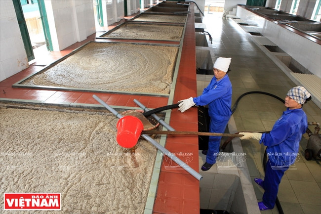 Les poissons assaisonnés avec du sel sont gardés en bassin.
