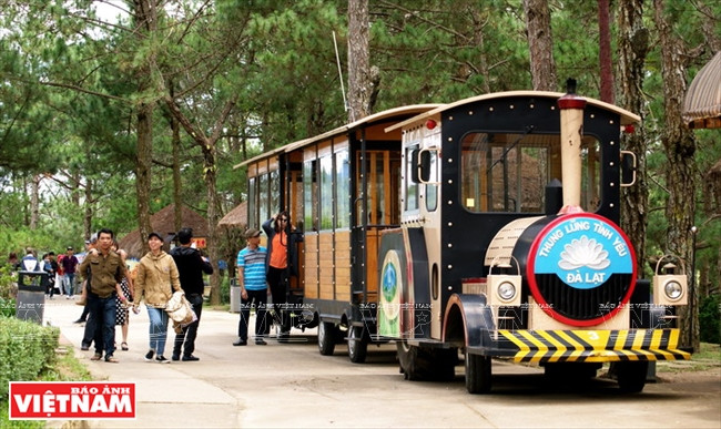 Visite en train ancien.