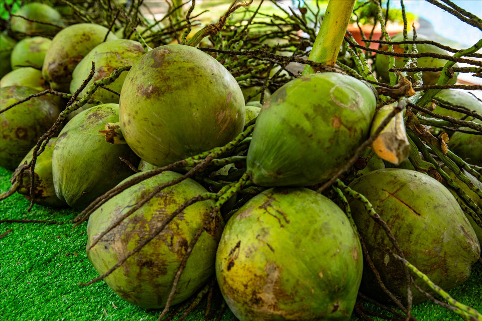 Ben Tre dénombre plus de 40 catégories de produits fabriqués à partir de la noix de coco : coco séchée, fibres, bonbons... exportés vers de nombreux pays, dont Chine, Inde, Cambodge, Laos, États-Unis, France, Canada, Australie.