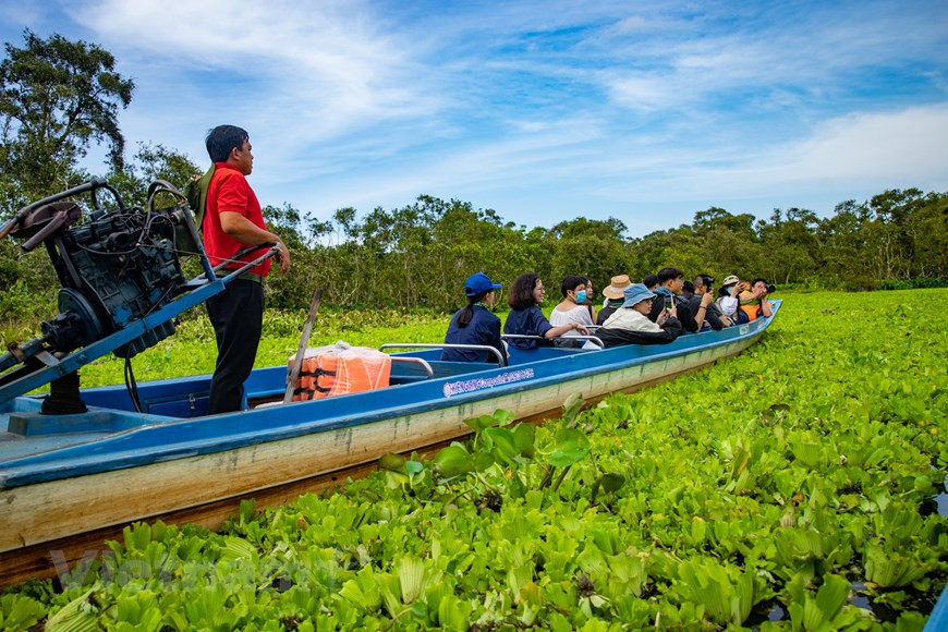 Trà Su est une forêt inondée typique du delta du Mékong. Pour la découvrir, rien de mieux que d’utiliser vélo, moto ou, bien mieux, barque.