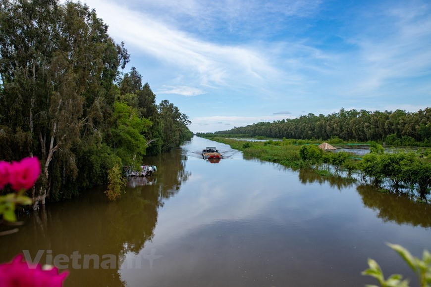 Située dans la commune de Van Giao, dans la province d’An Giang et non loin du fleuve Hâu, un bras du Mékong, Trà Su est une immense forêt inondée de près de 850 hectares. Cette forêt de cajeputiers abrite une faune et une flore très riches. 