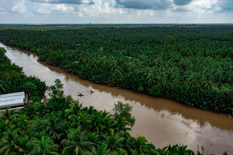 Située dans le delta du Mékong, la province de Ben Tre est connue depuis longtemps comme "royaume des noix de coco". Elle est en tête de la production nationale de noix de coco. 