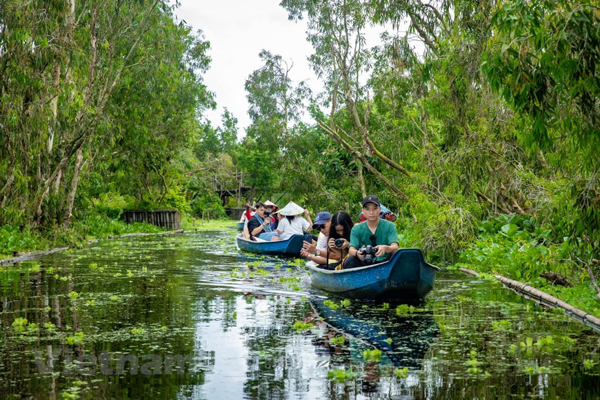 La saison idéale pour découvrir Tra Su est la saison des crues, de septembre à novembre. Faites de bambou tressé, les barques rudimentaires glissent en silence à travers le labyrinthe que forment les arroyos, couverts de lentilles d'eau. 