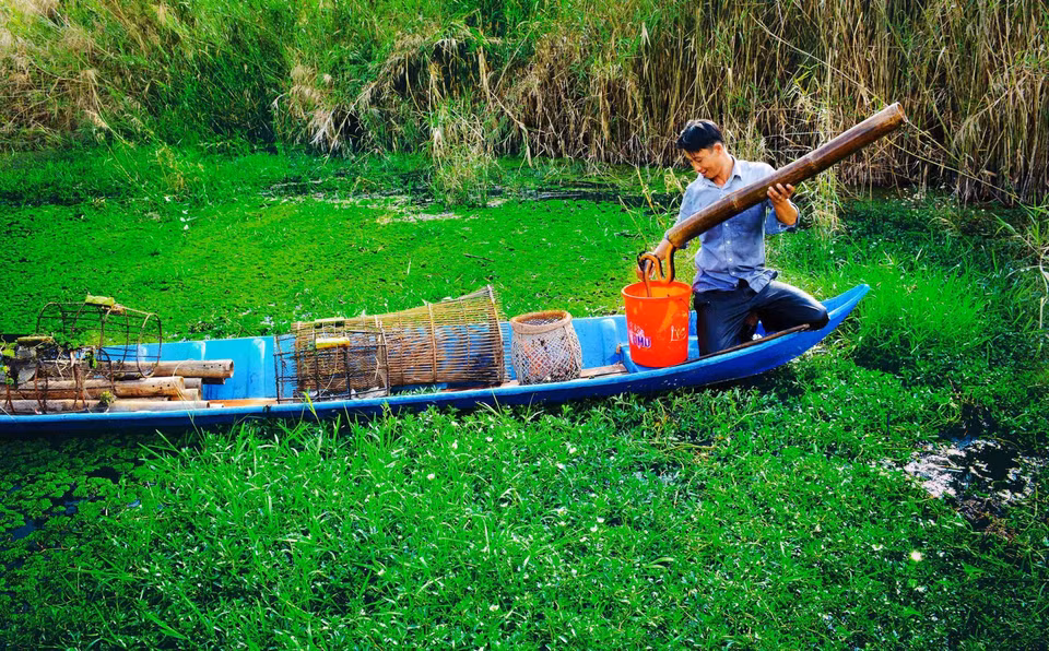 En venant au parc national d’U Minh Ha, les visiteurs peuvent visiter et découvrir le métier de pêcheur à l'anguille des agriculteurs locaux.