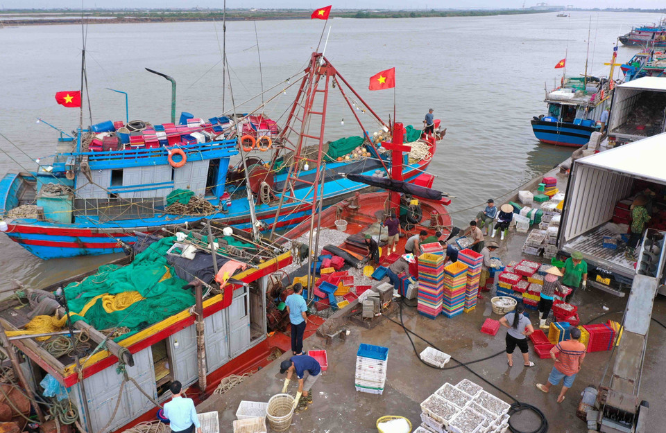 Immédiatement après avoir reçu le "carton jaune" en 2017, le Vietnam a répondu activement aux recommandations de la CE, en promulguant immédiatement la Loi sur les produits aquatiques et en établissant des données sur les navires de pêche.